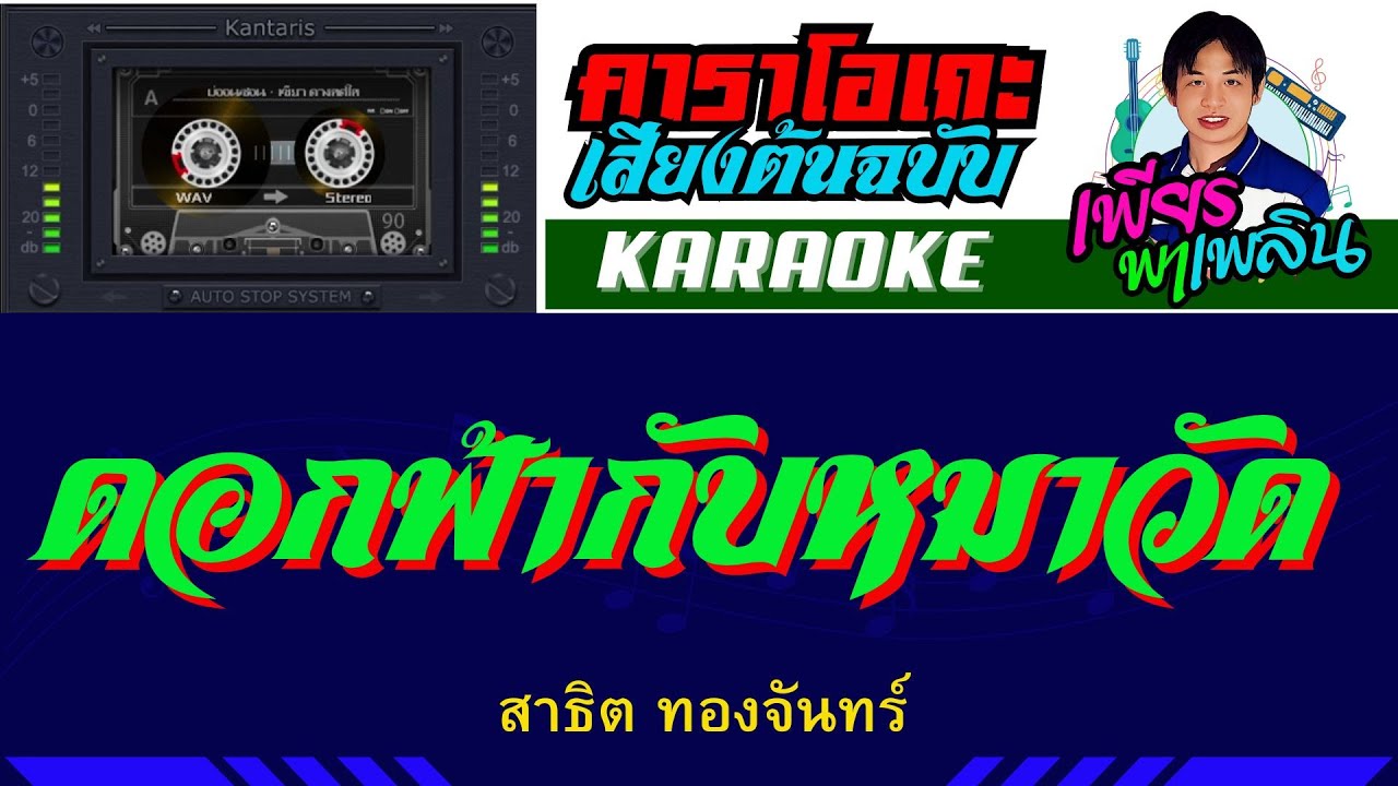 ดอกฟ้ากับหมาวัด คาราโอเกะเสียงต้นฉบับ -  สาธิต ทองจันทร์ #karaoke
