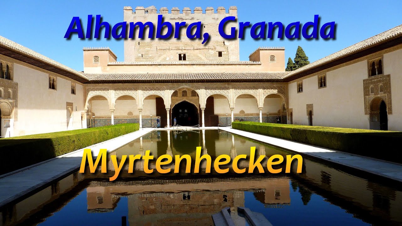 Myrten in der Alhambra