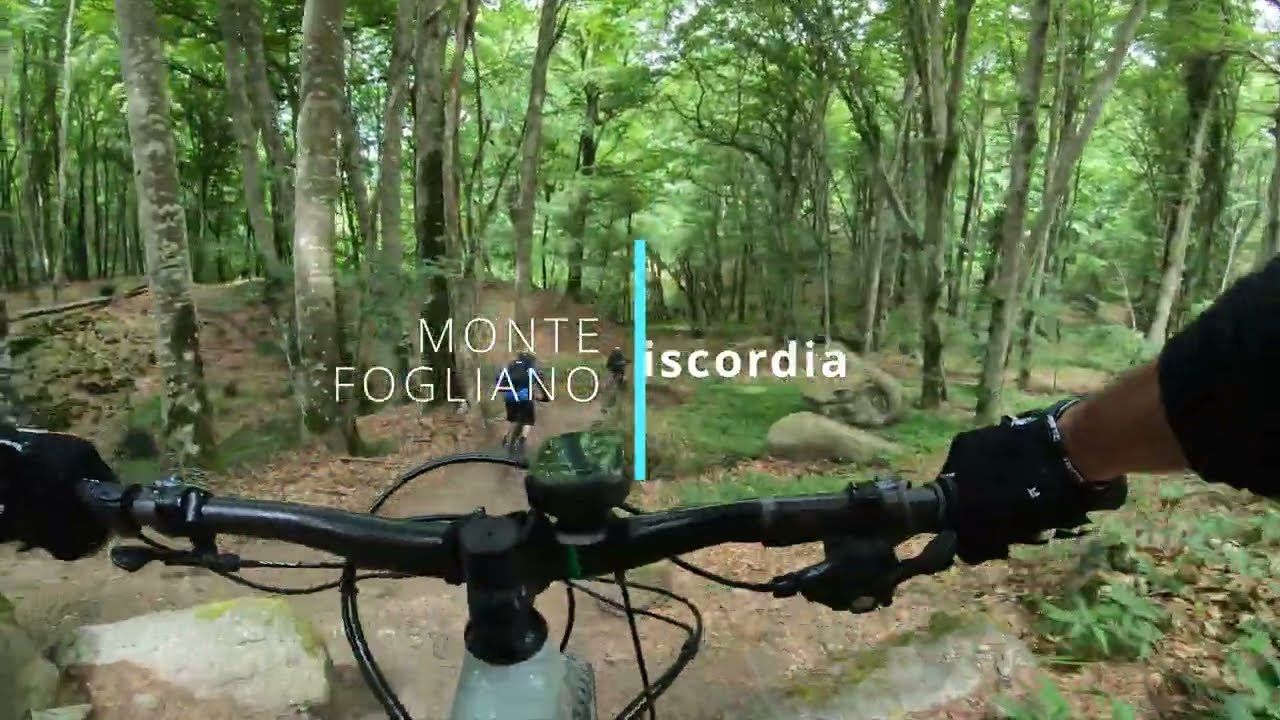 Monte Fogliano - Discordia