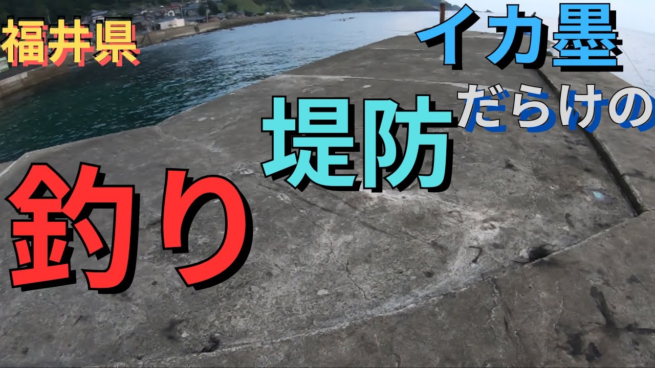 【福井県】イカ墨だらけの堤防で釣りしてきた。…釣りの才能が欲しくなった…