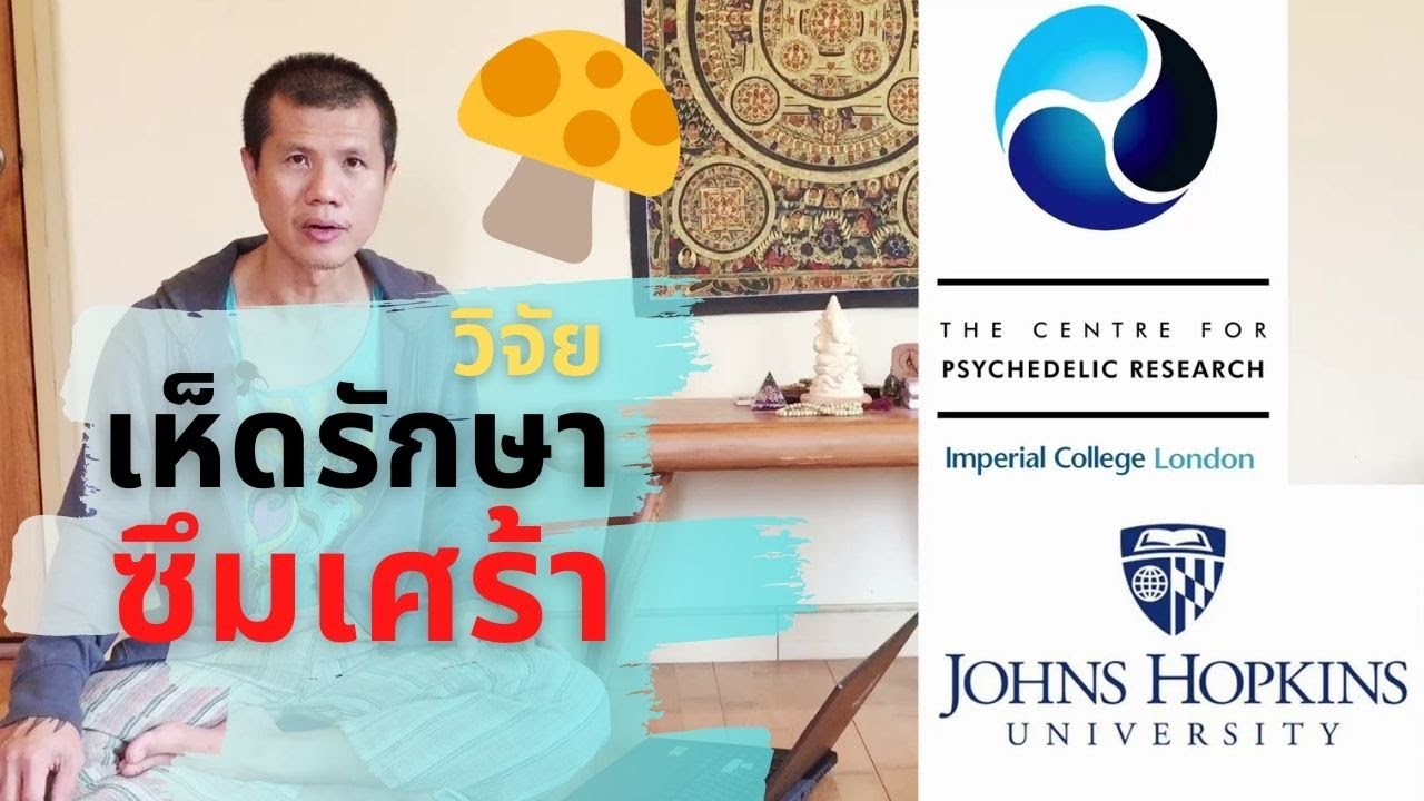 บำบัดซึมเศร้าด้วยเห็ดวิเศษ ผลงานวิจัย Magic mushroom treats depression - research