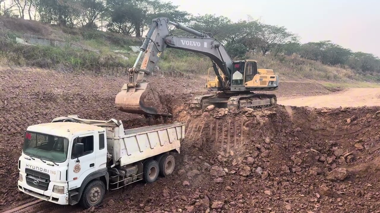 Volvo Excavators and Dump Trucks in Action