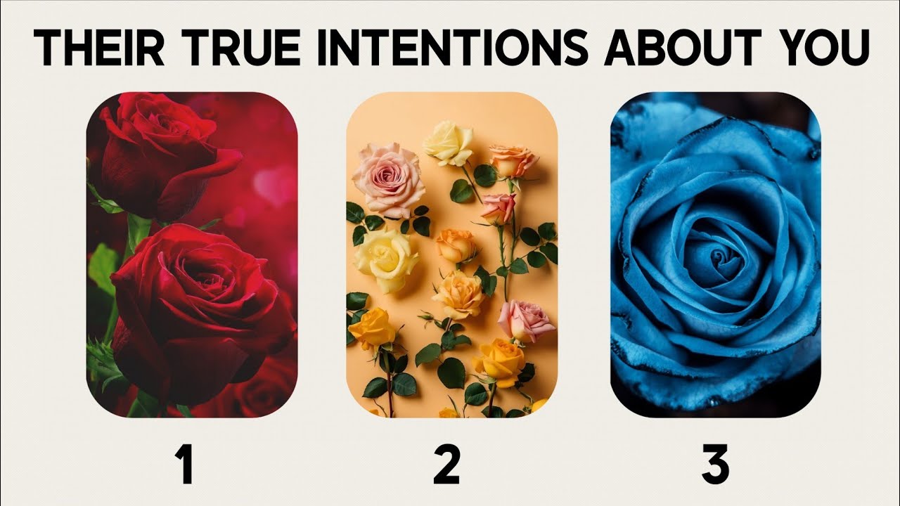 &hearts;️ THEIR TRUE INTENTIONS ABOUT YOU 🫰🏽- PICK A CARD (TIMELESS READING) ✨