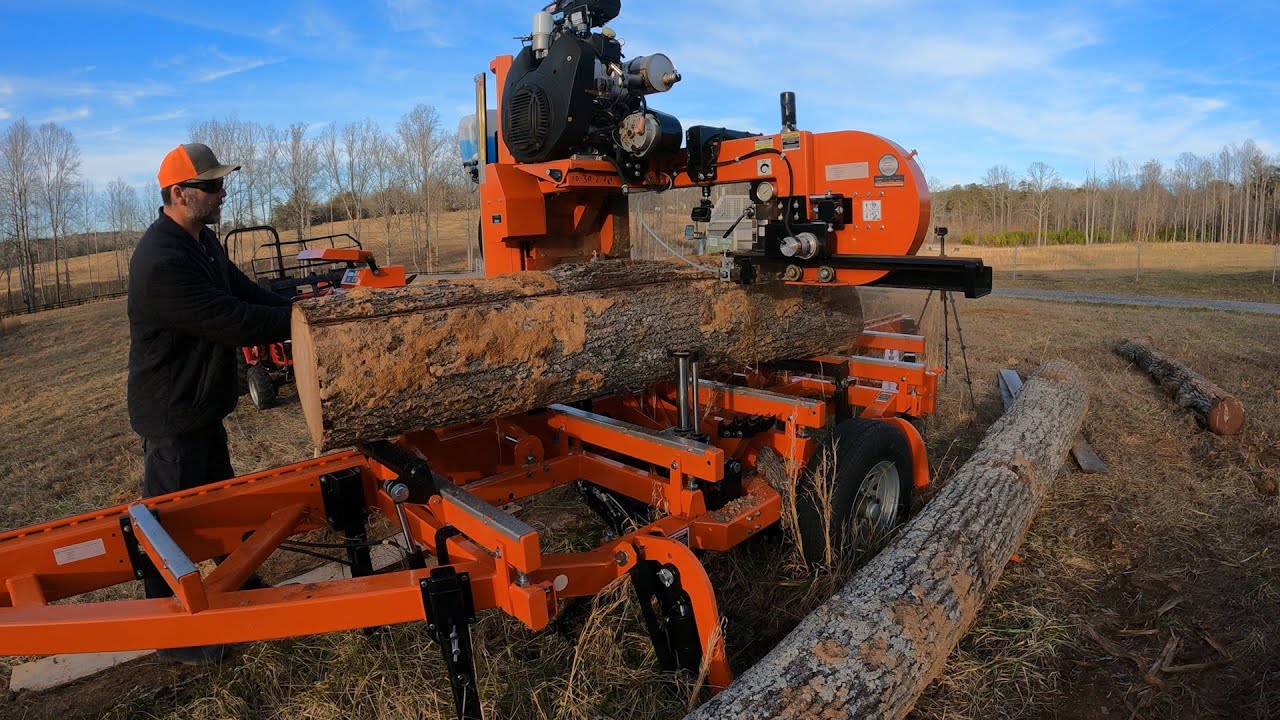 Dropping an oak tree and making lumber