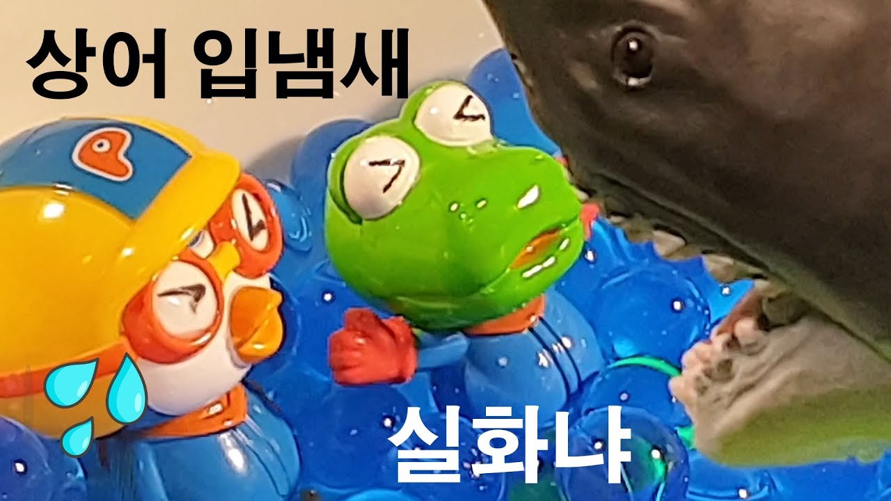 얼음에갇힌 뽀로로와 친구들이 상어한테 먹히게 되었어요 얼음 속의 친구들을 구해주세요   |꿈토이| 제1화