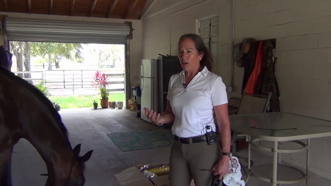 Spooky Horse Behavior: What Causes it and How to Fix