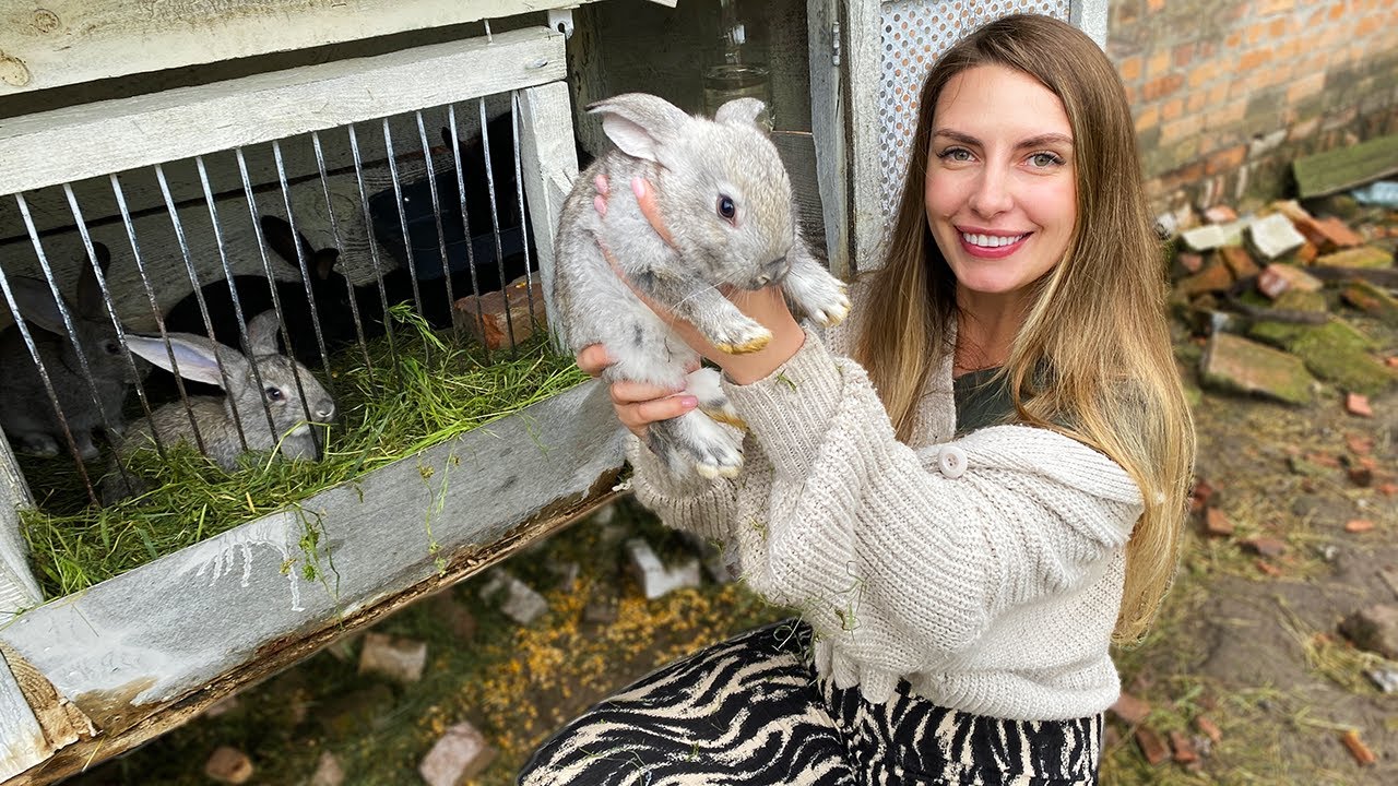 Life in Ukrainian Countryside: Something New on Our Farm!🇺🇦