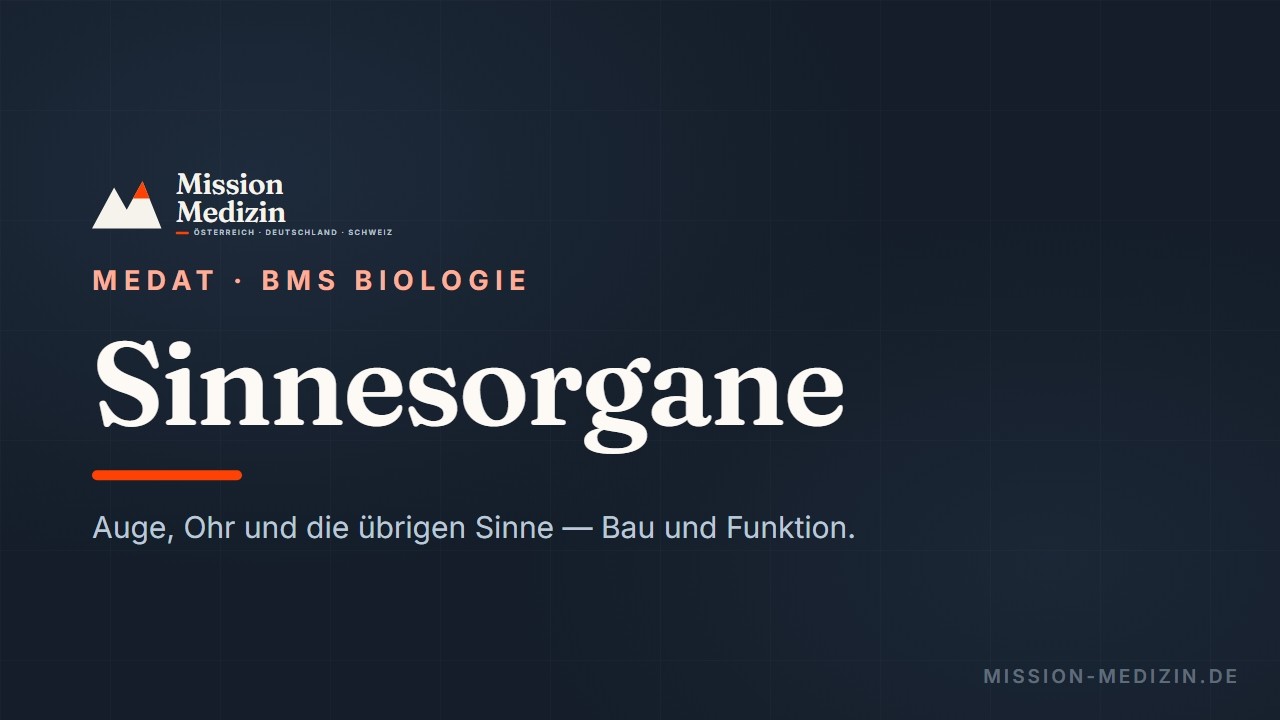 MedAT 2026 👁️ Lehrvideo zum Stichwort Sinnesorgane des BMS-Teils Biologie 👁️