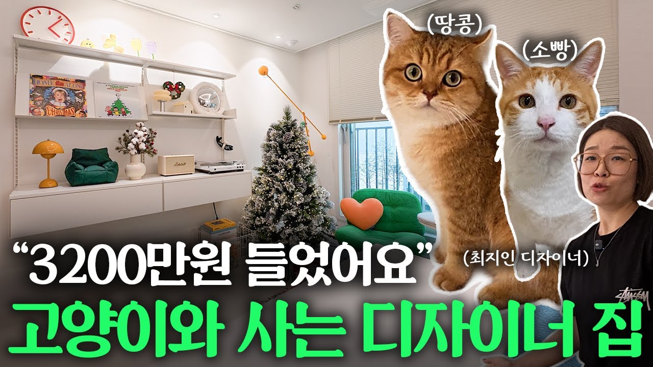 고양이를 위해 천장부터 가구까지 전부 뜯어고친 집이 있다? | 구경하는 집터뷰 EP.4