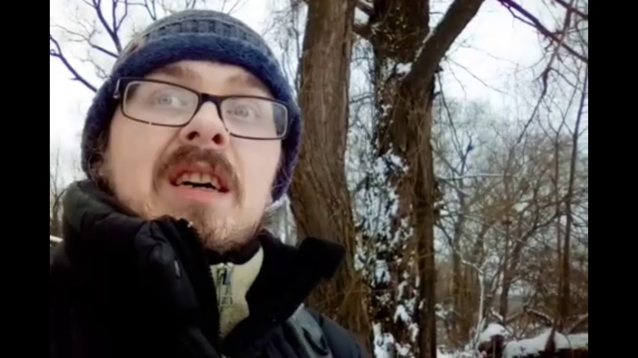Охота с Hatsan Striker Edge. Ужин для любимого енота . Нашёл бобра ) !