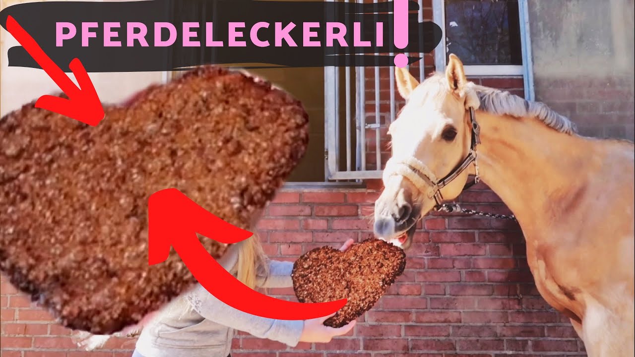 Das GRÖßTE PFERDELECKERLI der WELT backen! (Pferde kotzen? - Selbsttest)