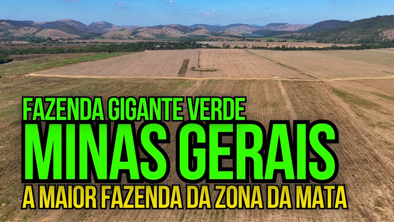 A MAIOR E MAIS COMPLETA FAZENDA À VENDA NA ZONA DA MATA MINEIRA