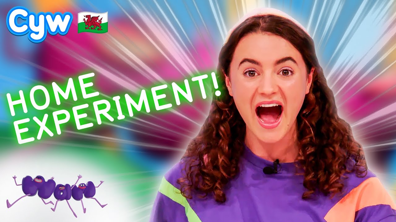 Waw! Grymoedd - Arbrawf Adref 🏠 Home Experiment | Welsh Science for Kids 🏴󠁧󠁢󠁷󠁬󠁳󠁿