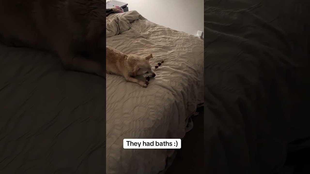 They had baths :) 