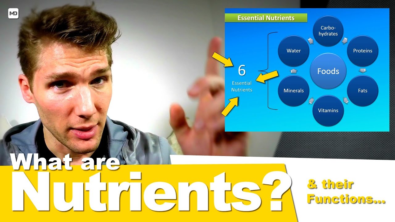 Nutrients and Their Functions - You Are What You Eat: Crash Course #1