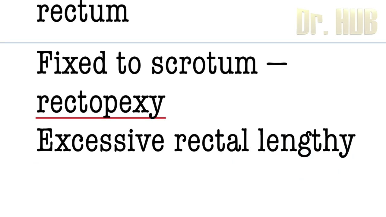 Rectal prolapse