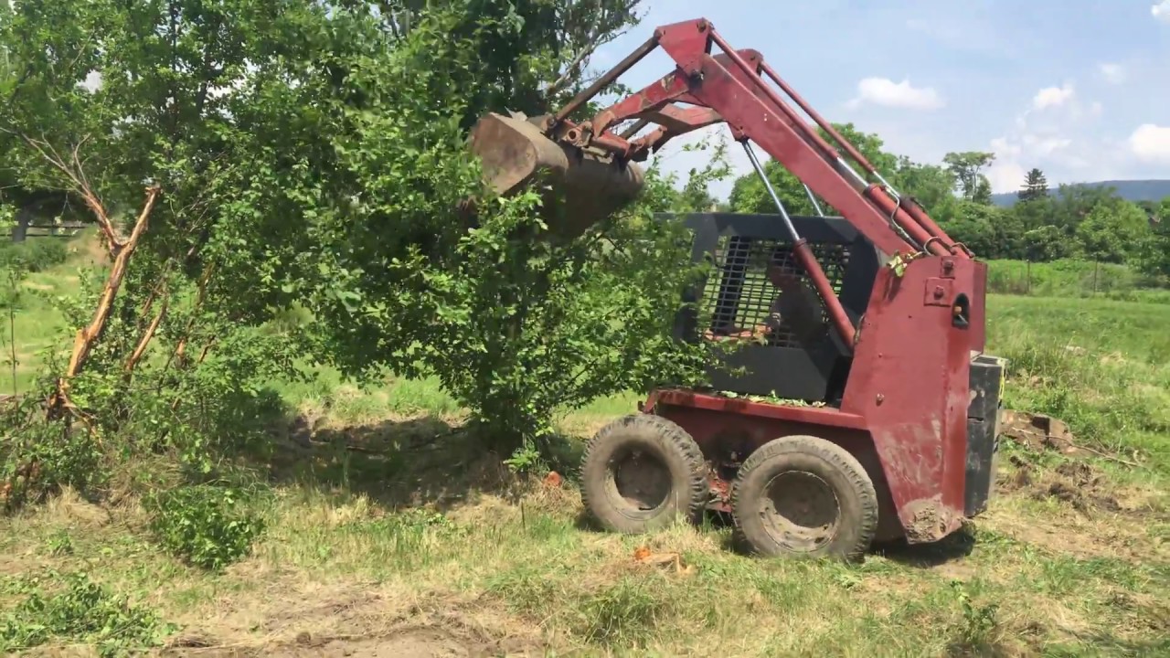 Gehl Bobcat - Gehl Skid steer - skid steer test - bobcat gehl
