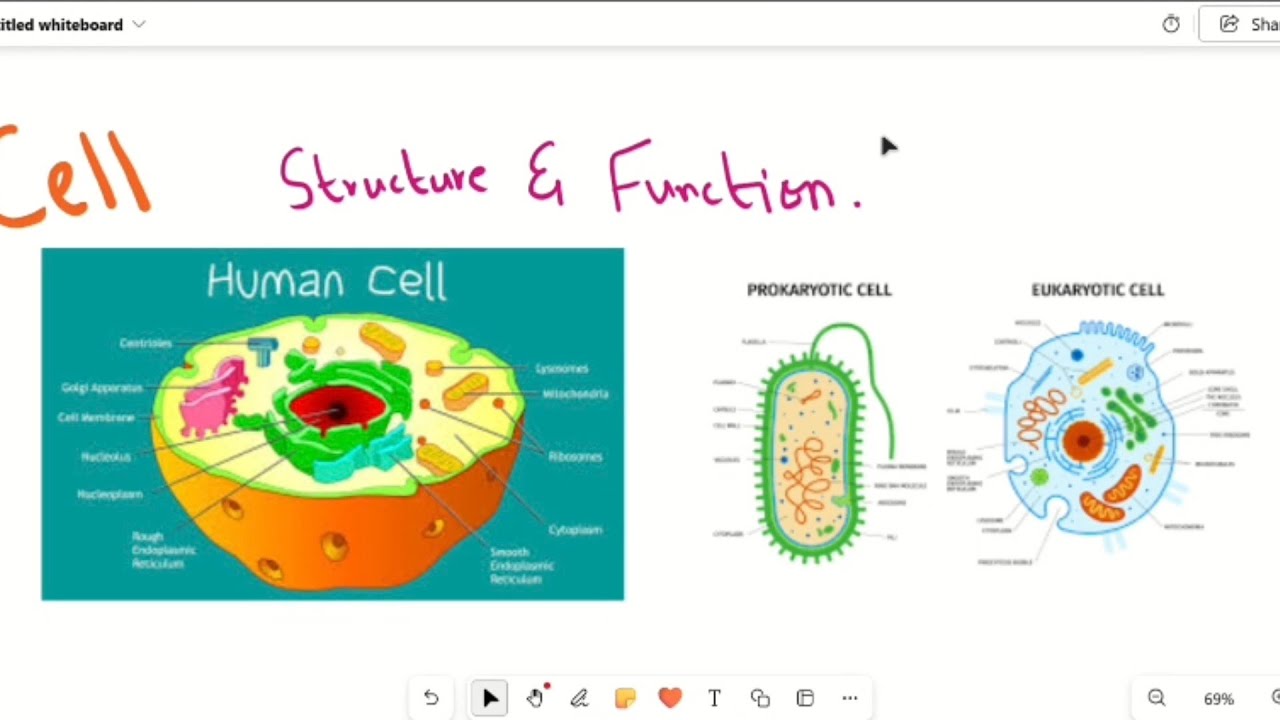 Cell| Introduction To Biology | 1st Year Biology Chapter 1| Doctors Inn 