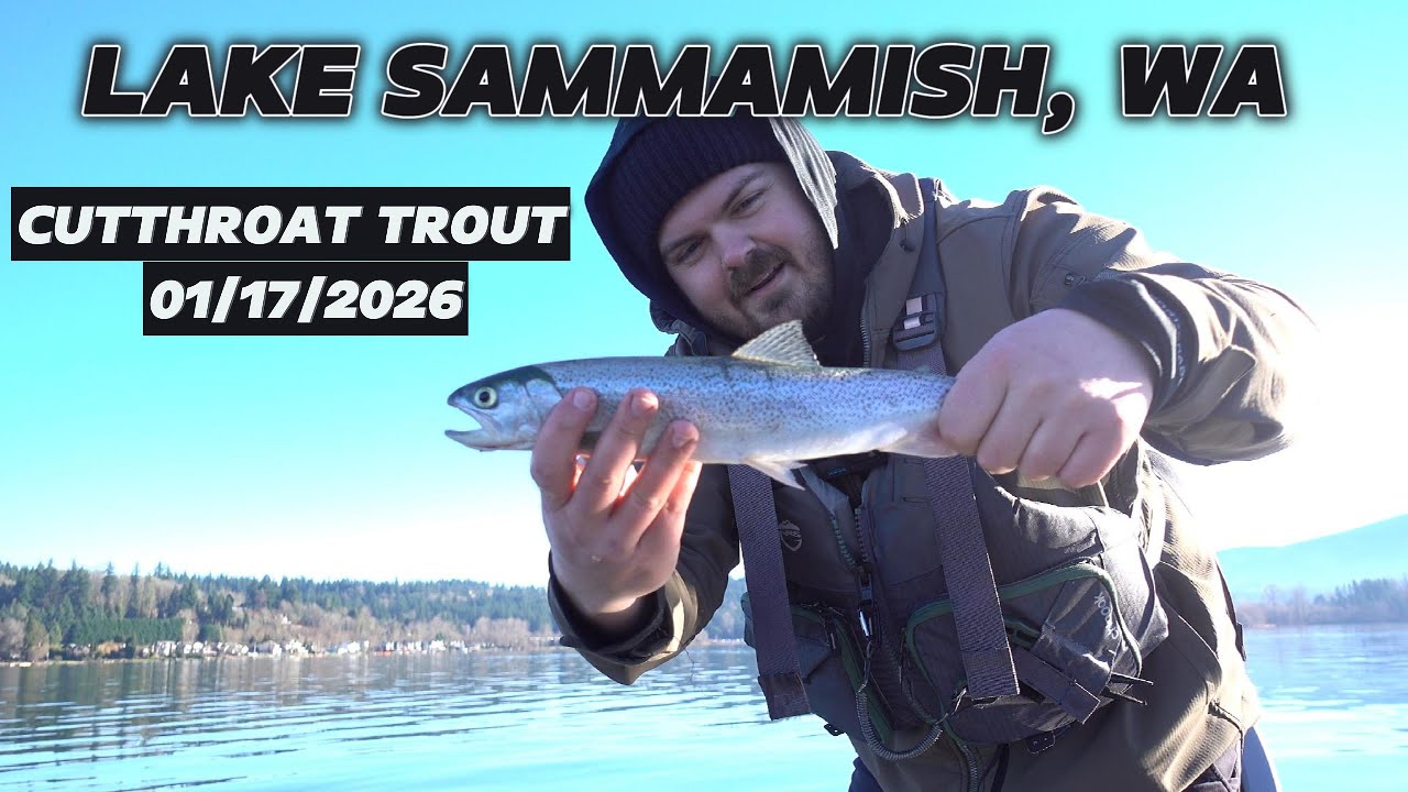 Trolling for Cutthroat Trout | Lake Sammamish, WA