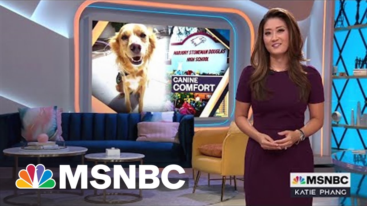 Therapy Dogs Help Parkland Shooting Survivors Get Through Sentencing Trial