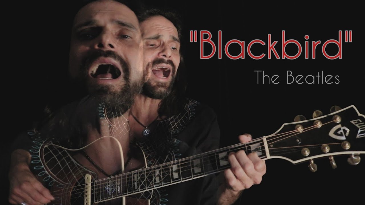 Blackbird (Beatles cover) + Jesu joy of man's desiring _ Khadhu Capanema