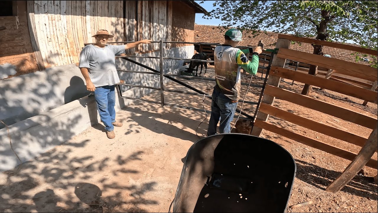 Pintamos e montamos as porteiras dos piquetes (ro&ccedil;avlog)