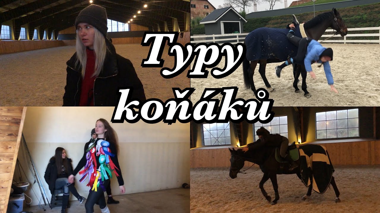 Sketch // Typy koňáků