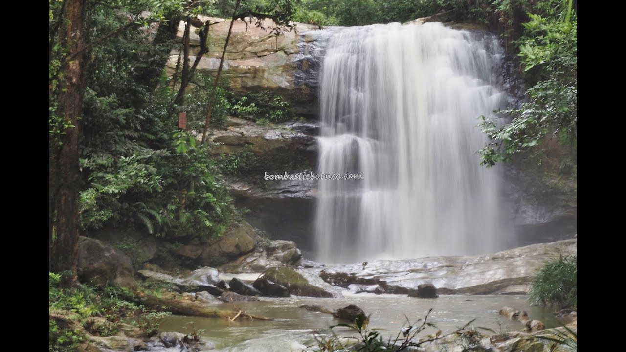 Lekasi Waterfall, Penan Medicinal Plants Tegulang Resettlement Murum Sarawak Borneo 婆罗洲瀑布砂拉越本南传统药用植物