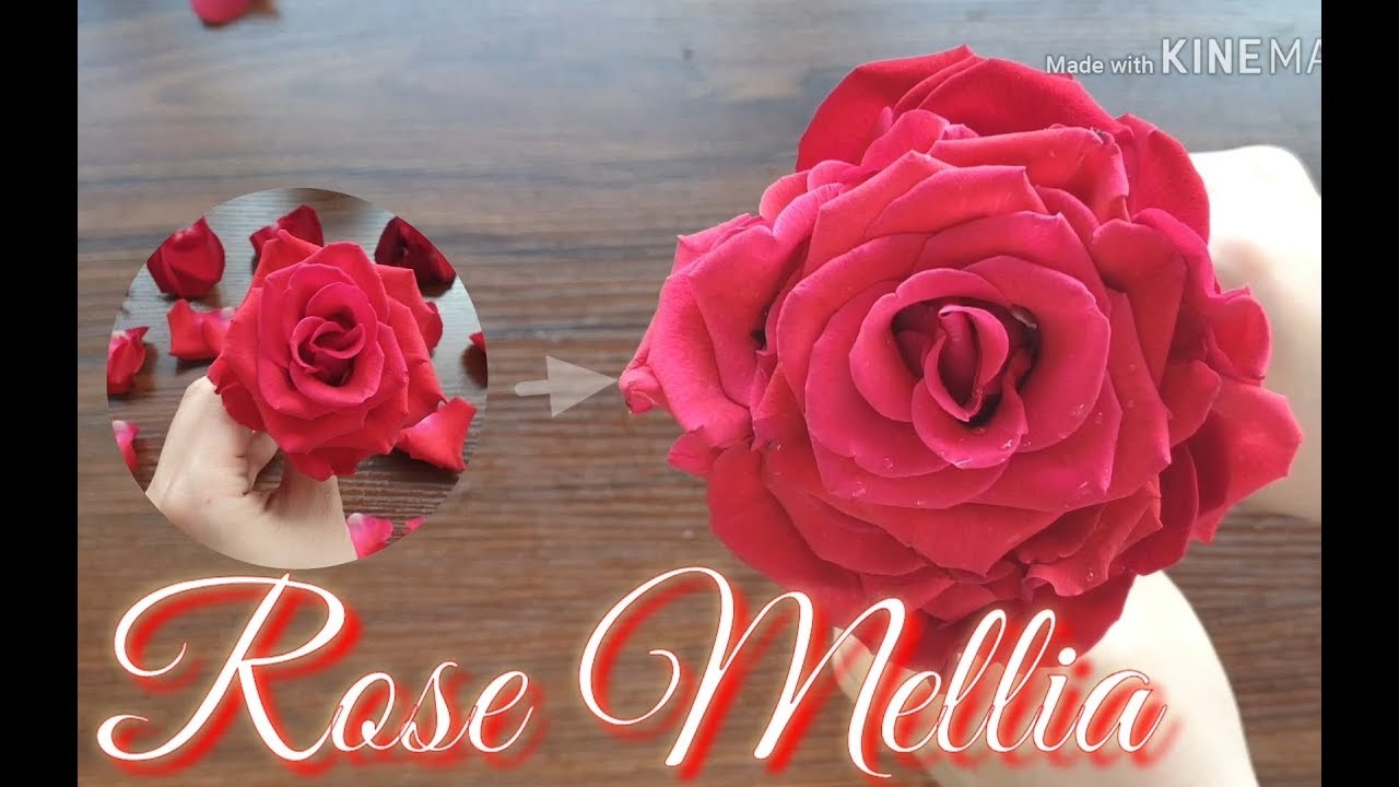 [flower lesson] Rose Mellia 로즈멜리아 부케 (배용준 박수진 결혼 부케) 만들기