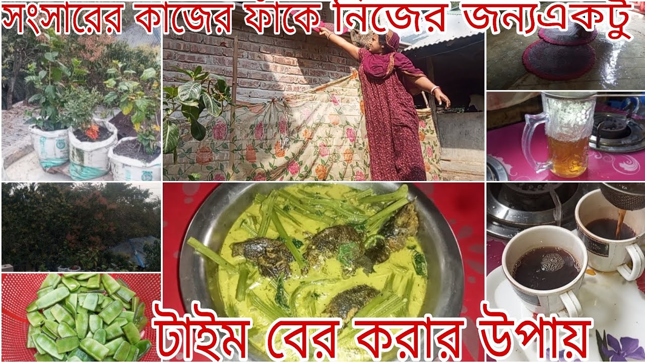 ✨ ভোরে সবার আগে ঘুম থেকে উঠে
