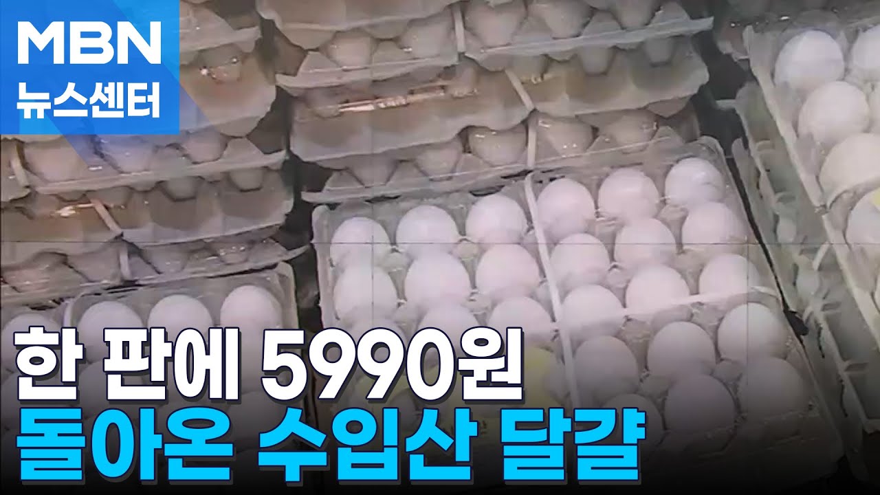 백색 미국산 달걀이 한 판에 5990원…설 물가 잡기 총력전 [MBN 뉴스센터]
