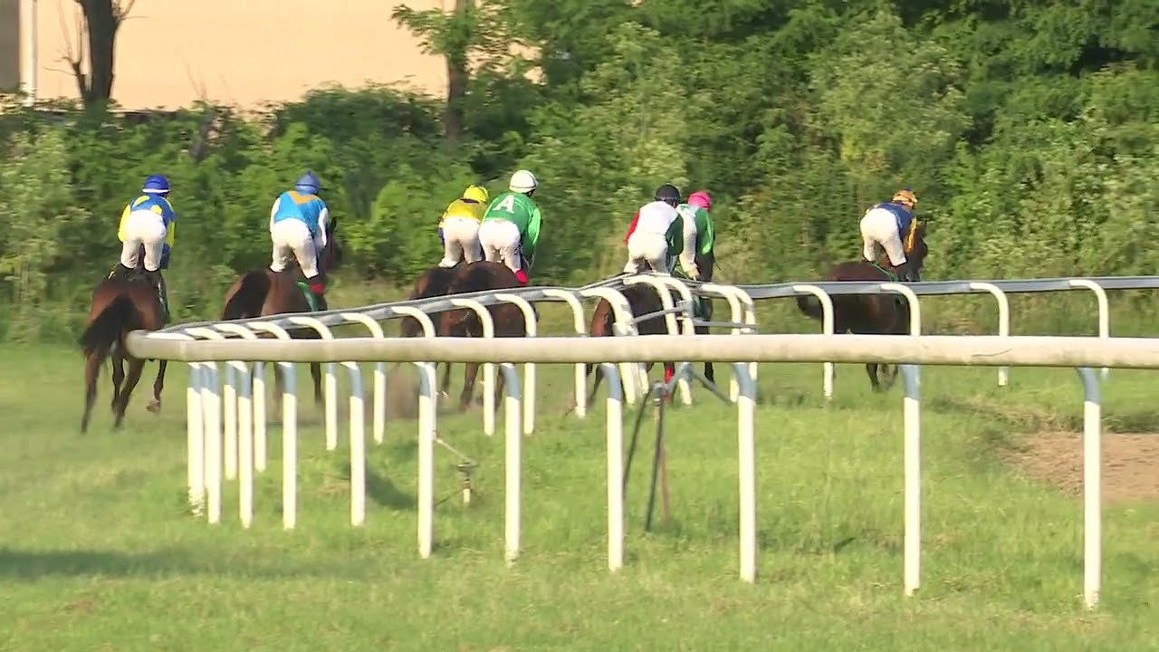 Osma trka Sabac 18.06.2023 STARI SRPSKI DERBI