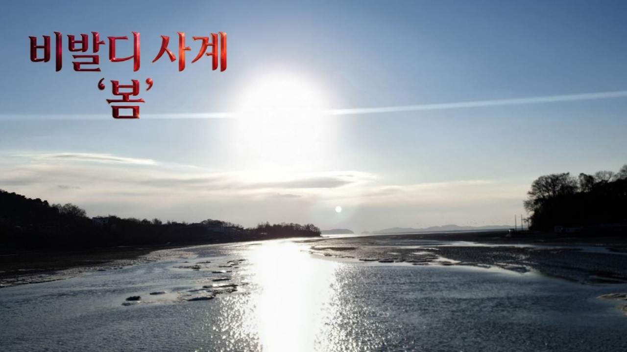 지친 마음을 달래기 위해 듣는 비발디 사계 중 '봄' 편곡 클래식 오케스트라 음악 l 바다 위로 쏟아지는 찬란한 태양의 축복