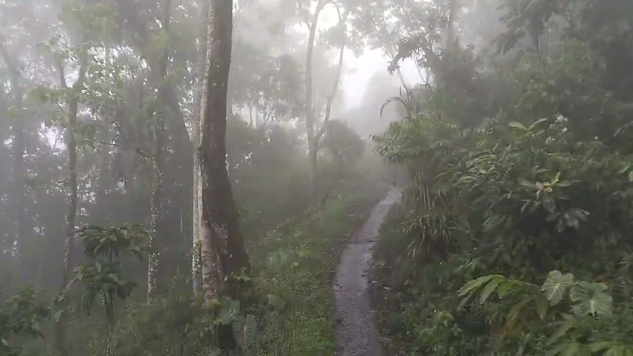 Naik Pucak Manik saat hujan