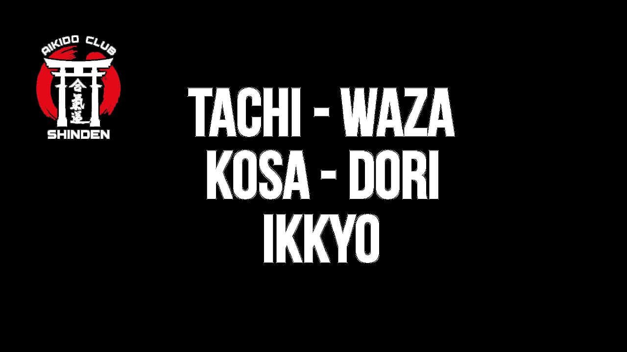 TACHI WAZA KOSA DORI IKKYO. Школа айкидо SHINDEN.
