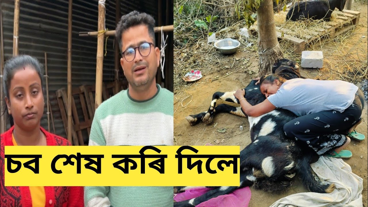 Sob hekh kori dile amar