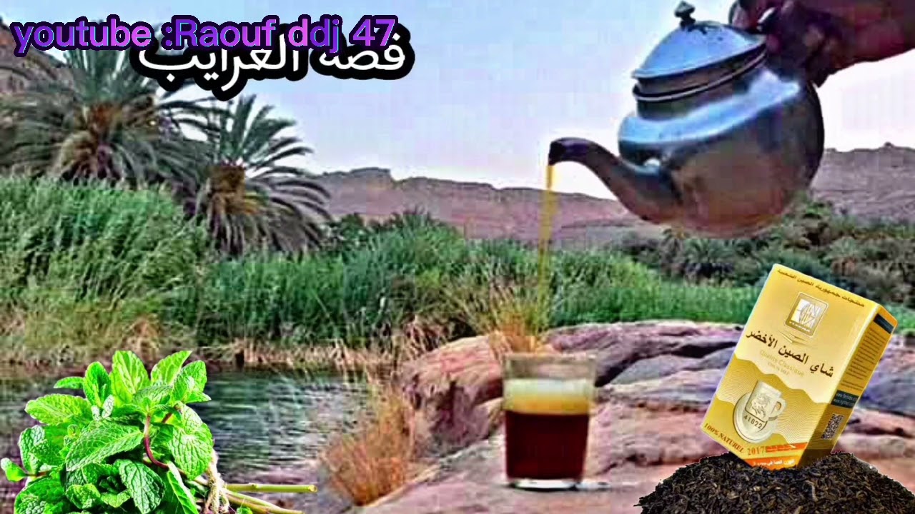 غريبة الغرايب قولي السكر 3 ارشيف علي بالحاج تواتي رقان  20 #رؤوف_ديدجي