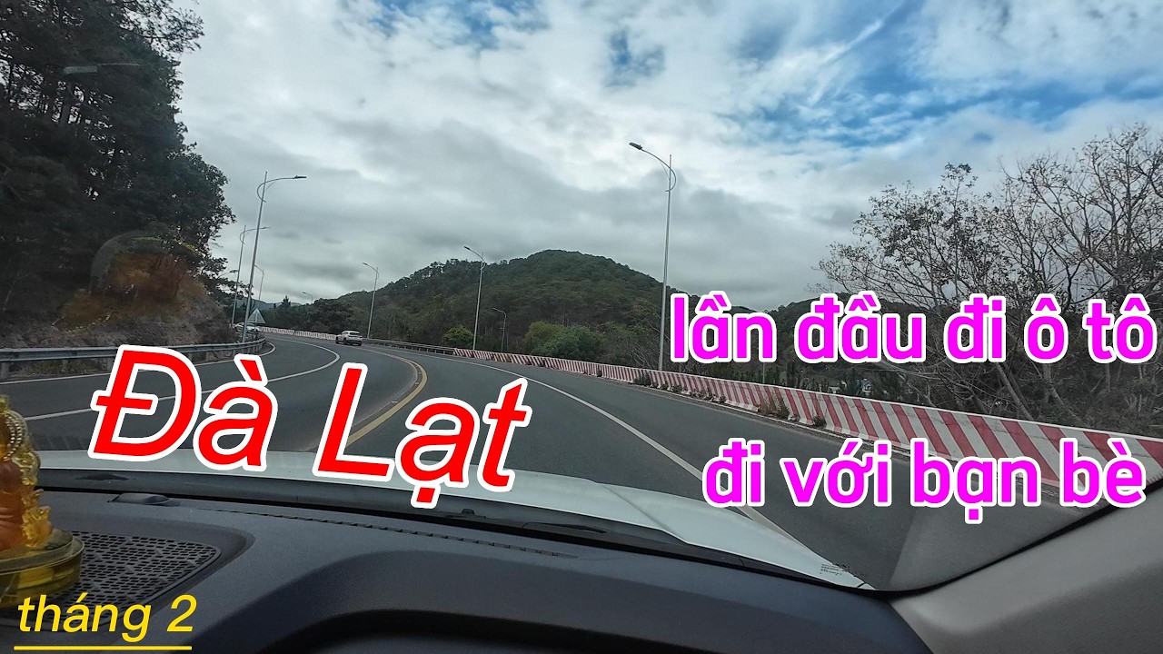 Đà Lạt tháng 2| lần đầu trải nghiệm đi đà lạt bằng ôtô, ĐL ngày cuối năm cùng bạn #dalat #travel