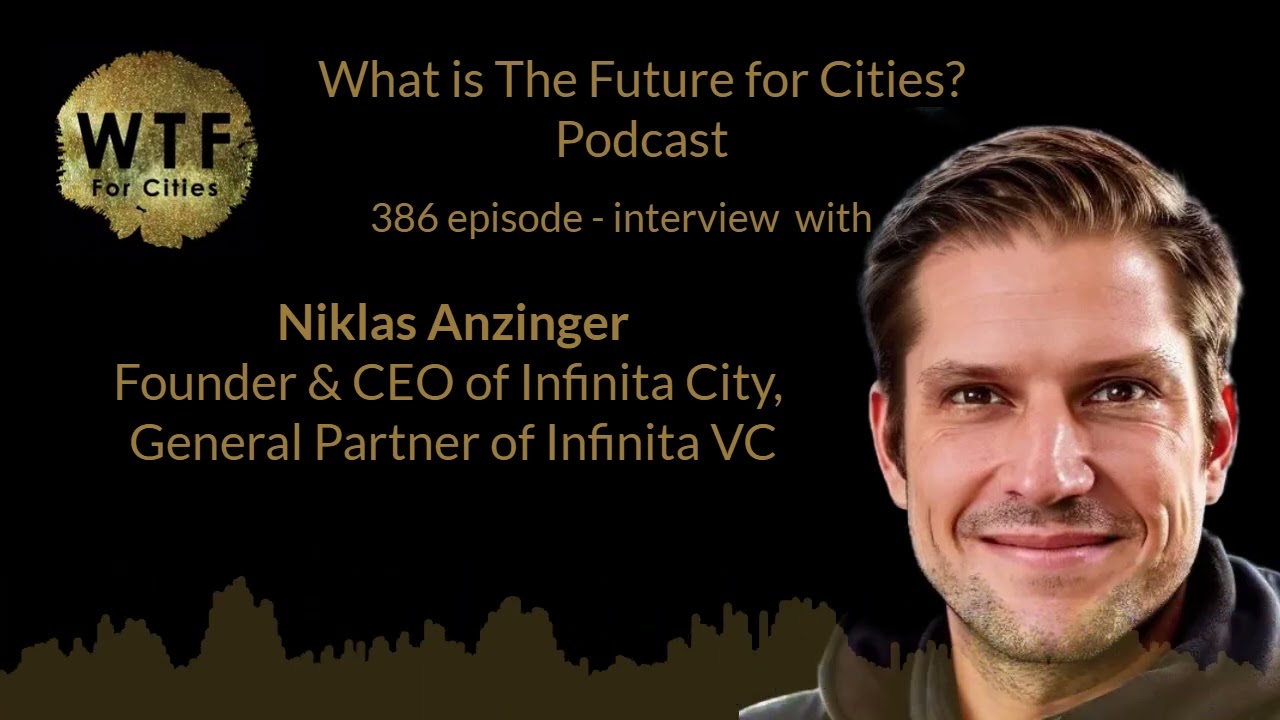 Governance services form a monopoly or the market - Niklas Anzinger (386I trailer 2)