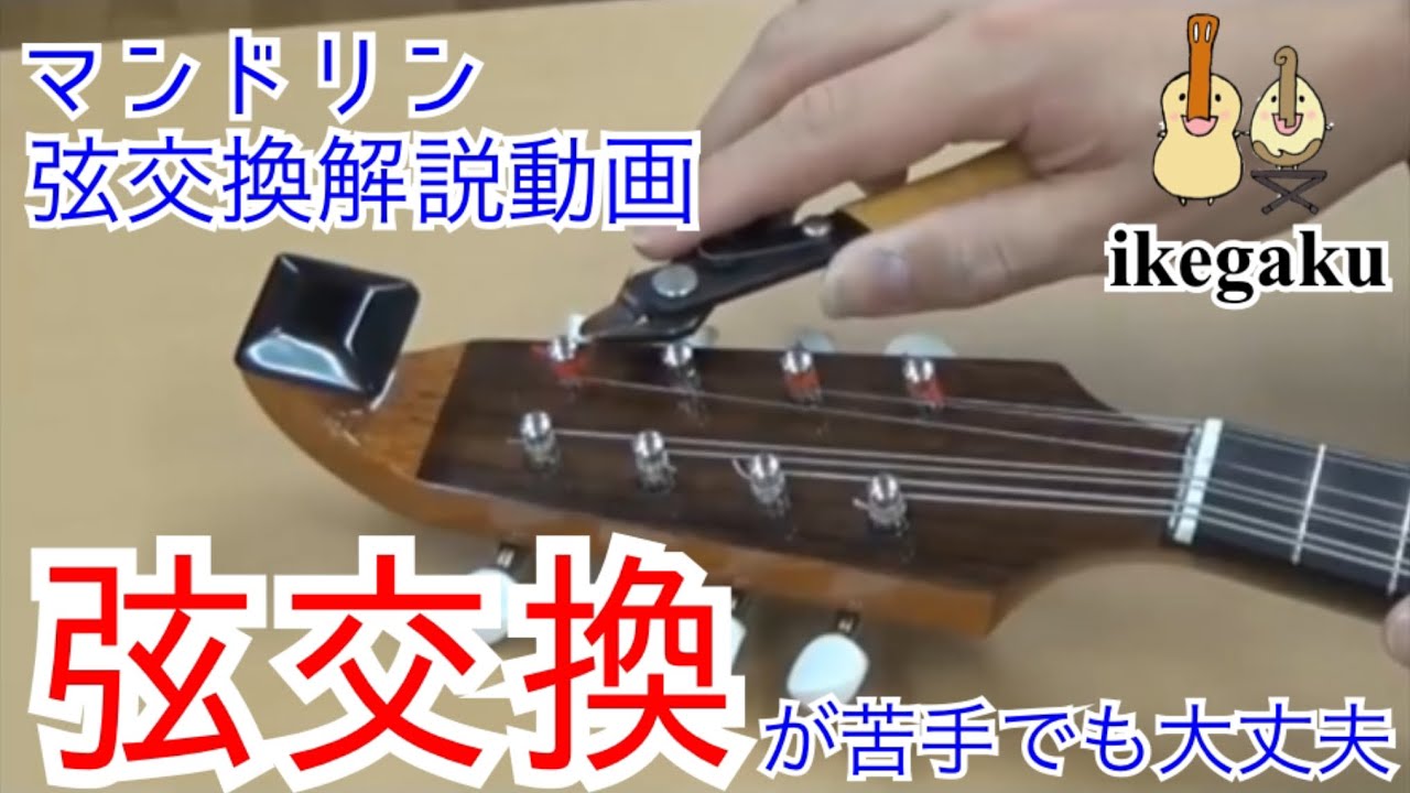 【初心者でもできる】マンドリン弦交換の仕方～ナポリタイプ〜 change strings on the mandolin for napoli type