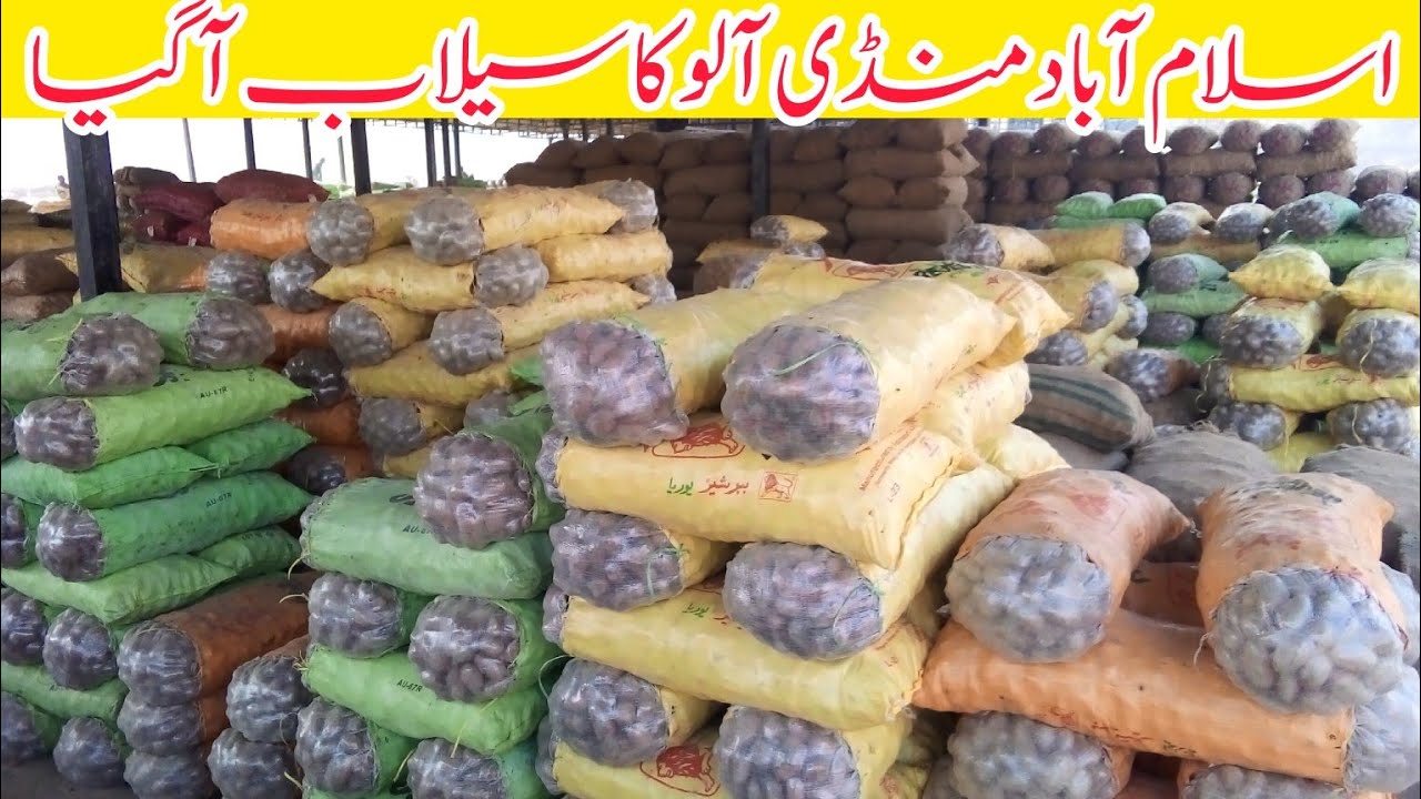 Potato Price Today In Pakistan | Exploring Punjab Sabzi Mandi Islamabad