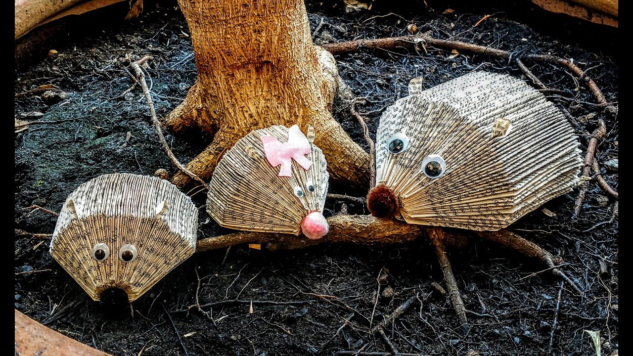 Make a Hedgehog from a Book!