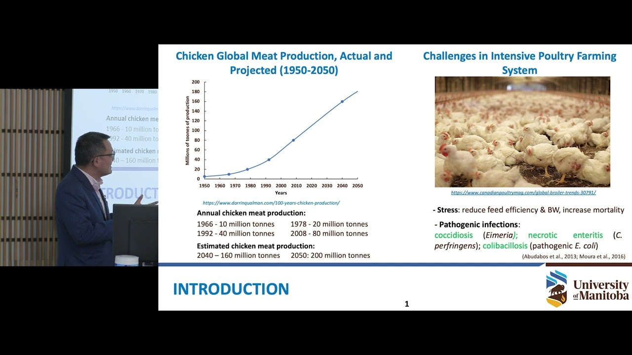 More than just chicken feed: Antibiotic alternatives in poultry diets