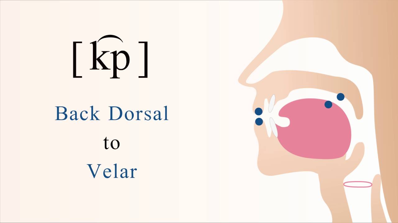 [ k͡p ] unvoiced unaspirated labial coarticulated back dorsal velar stop