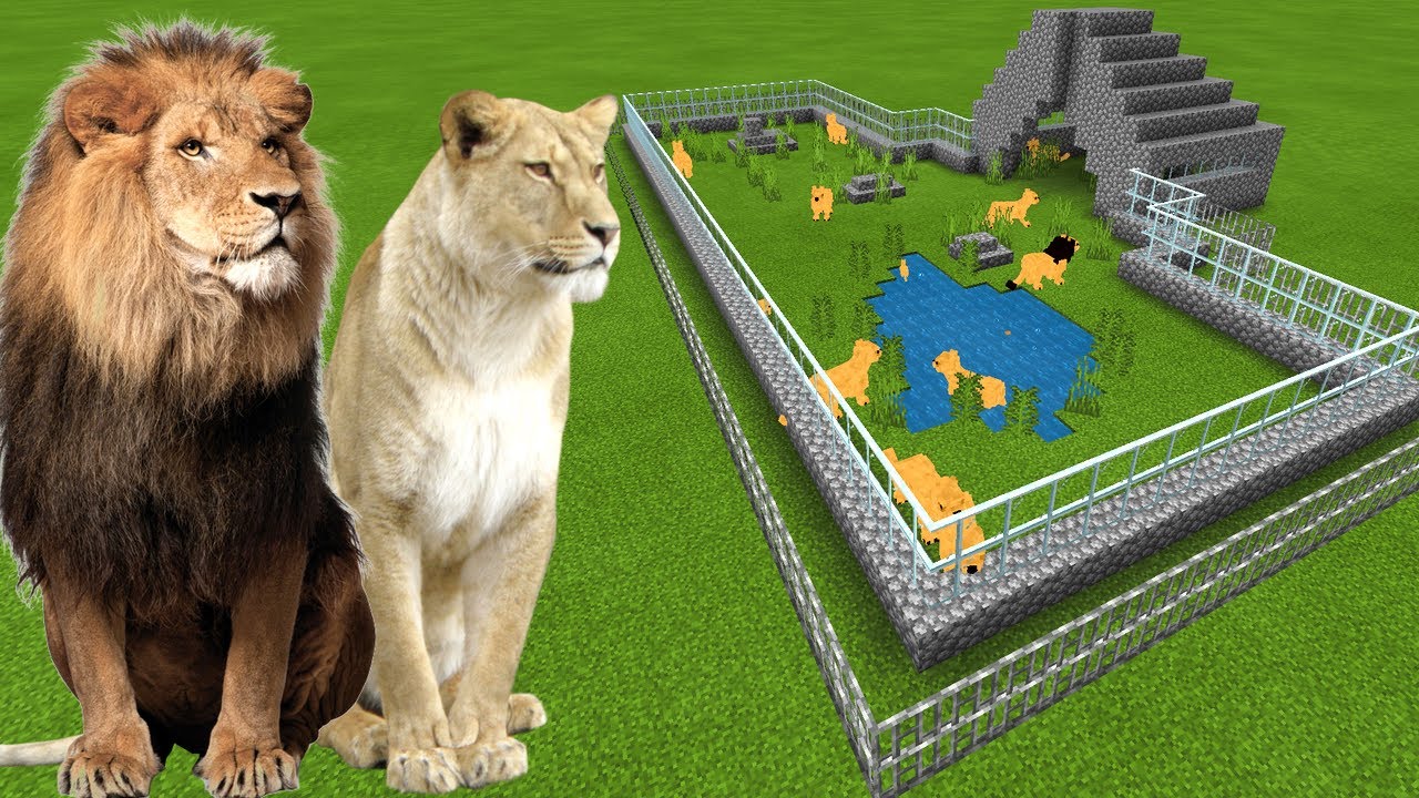 MCPE: How To Make a Lion Farm