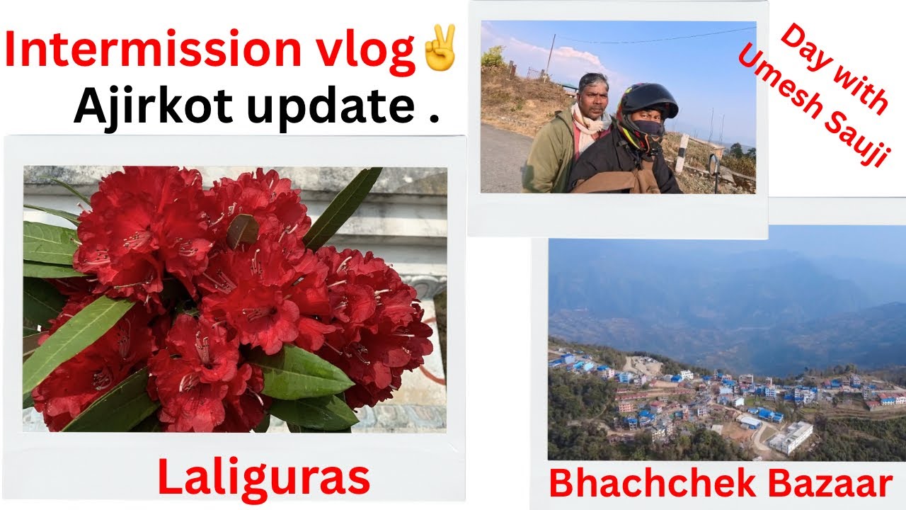 अजिरकोटमा गुराँस🌺 फुलेको छकि छैन त? || Intermission Vlog of Mustang Series😇 || Bishaley Vlog ||