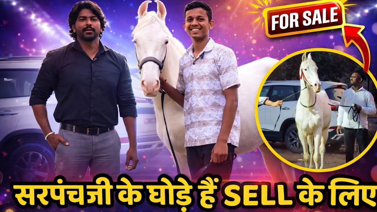 Sarpanch Ji Ka Pyara Nukra Bachcha Aur Ghodi hai Sell ke liye Available 