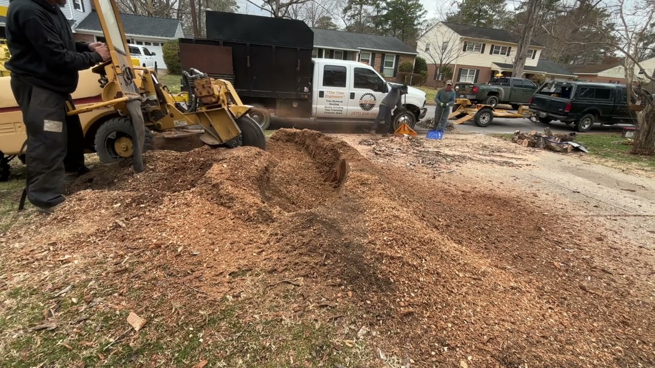 Grinding Tree Stumps in Virginia Beach