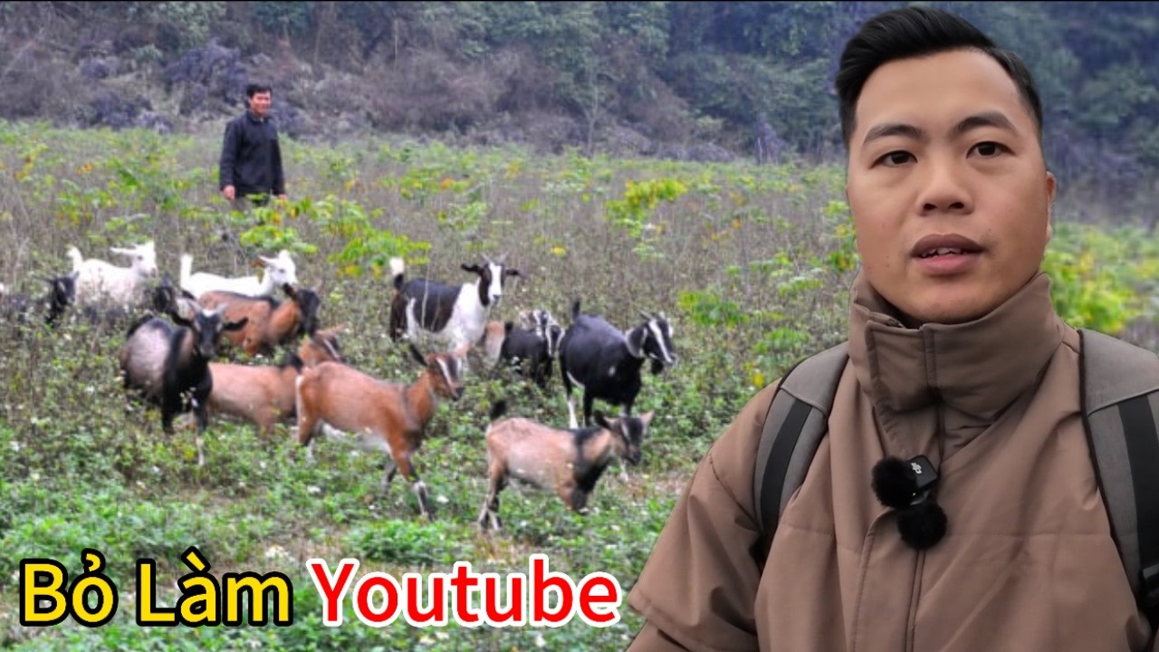 HÉ LỘ NGHỀ PHỤ SAU 2 NĂM ẤP Ủ | EM DƯƠNG VLOG