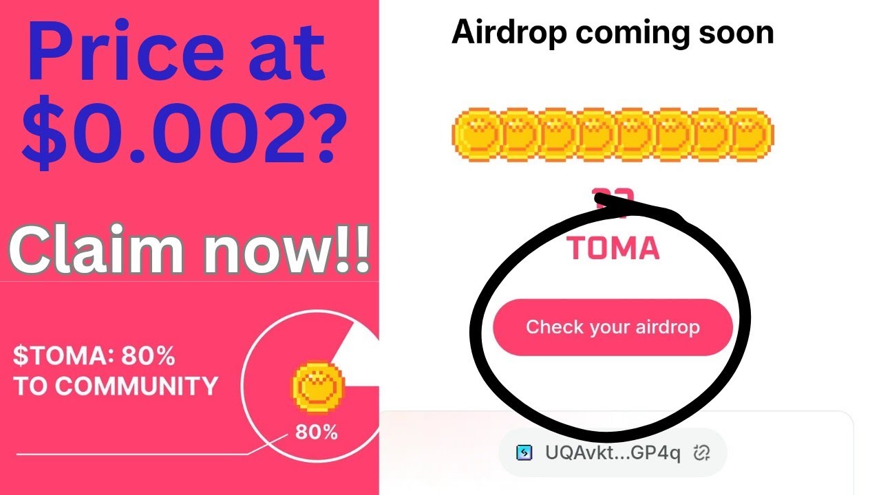 Tomarket Airdrop listing, withdrawal, How to check allocation, claim Token and the latest update